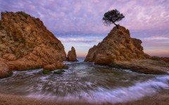 Desktop wallpaper. Nature. ID:67479