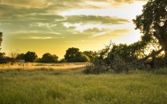 Desktop wallpaper. Nature. ID:67481