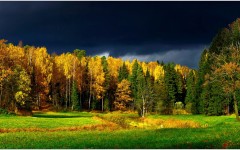 Desktop wallpaper. Nature. ID:67497