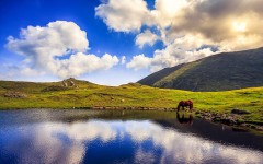 Desktop wallpaper. Nature. ID:67504