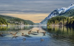 Desktop wallpaper. Nature. ID:67505