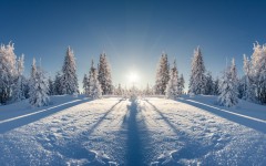 Desktop image. Nature. ID:67511