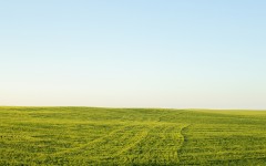 Desktop image. Nature. ID:67522