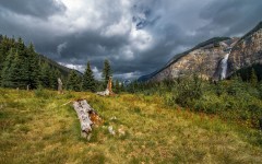 Desktop wallpaper. Nature. ID:67528