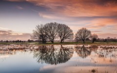 Desktop wallpaper. Nature. ID:67532