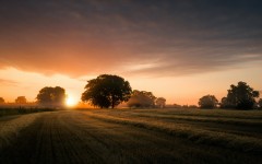Desktop wallpaper. Nature. ID:67537