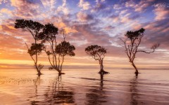 Desktop wallpaper. Nature. ID:67542