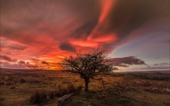 Desktop wallpaper. Nature. ID:67548
