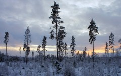 Desktop image. Nature. ID:67553