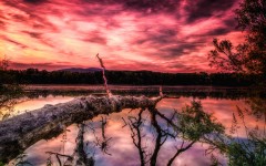 Desktop image. Nature. ID:67555