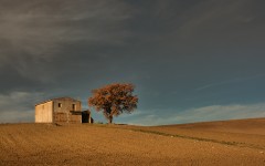 Desktop image. Nature. ID:67559