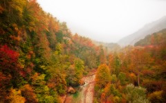 Desktop image. Nature. ID:67560
