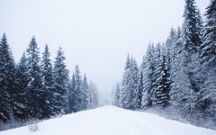 Desktop image. Nature. ID:67563