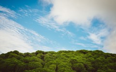 Desktop image. Nature. ID:67566
