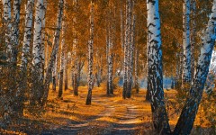 Desktop wallpaper. Nature. ID:67573