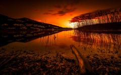 Desktop wallpaper. Nature. ID:67575