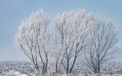 Desktop wallpaper. Nature. ID:67577