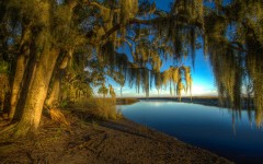 Desktop wallpaper. Nature. ID:67584