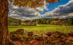 Desktop wallpaper. Nature. ID:67585