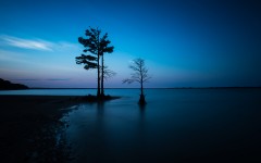Desktop wallpaper. Nature. ID:67590