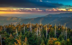 Desktop wallpaper. Nature. ID:67595