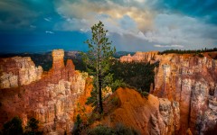Desktop wallpaper. Nature. ID:67603