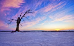 Desktop wallpaper. Nature. ID:67613