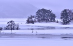 Desktop wallpaper. Nature. ID:67618