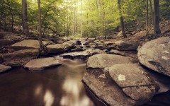 Desktop wallpaper. Nature. ID:67623