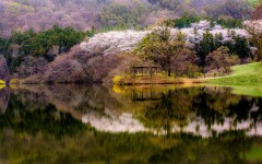 Desktop wallpaper. Nature. ID:67624
