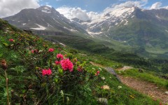 Desktop wallpaper. Nature. ID:67626