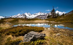 Desktop wallpaper. Nature. ID:67628
