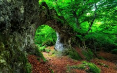 Desktop wallpaper. Nature. ID:67629