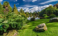 Desktop image. Nature. ID:67630