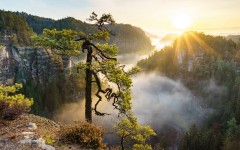 Desktop wallpaper. Nature. ID:78647