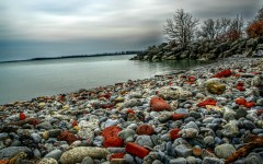 Desktop wallpaper. Nature. ID:78834
