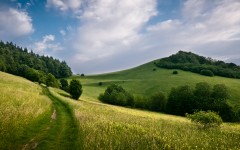Desktop wallpaper. Nature. ID:78838
