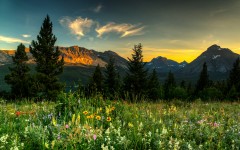 Desktop wallpaper. Nature. ID:78866