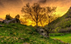 Desktop wallpaper. Nature. ID:78871