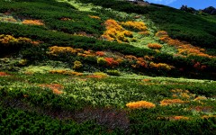 Desktop wallpaper. Nature. ID:78873