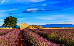 Desktop wallpaper. Nature. ID:78971