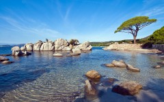Desktop wallpaper. Nature. ID:79253