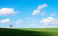 Desktop wallpaper. Nature. ID:79320