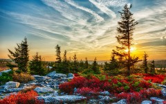 Desktop wallpaper. Nature. ID:79397
