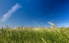 Desktop wallpaper. Nature. ID:79408