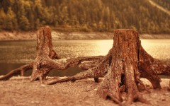 Desktop wallpaper. Nature. ID:79489