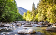 Desktop wallpaper. Nature. ID:79676