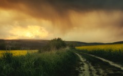 Desktop wallpaper. Nature. ID:79721