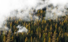 Desktop wallpaper. Nature. ID:79774