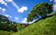 Desktop wallpaper. Nature. ID:80430